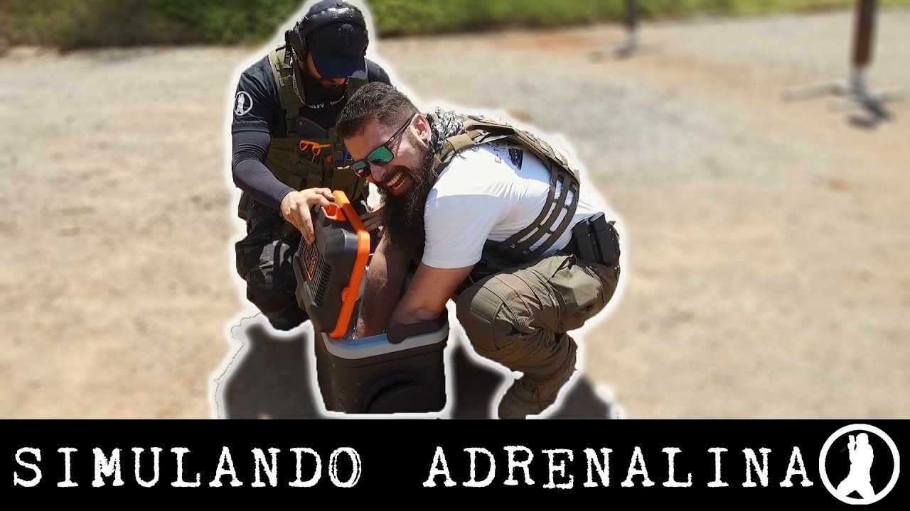 Simulando os efeitos da adrenalina no COMBATE