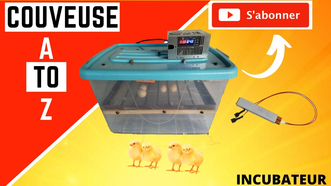 Incubator for chicken eggs