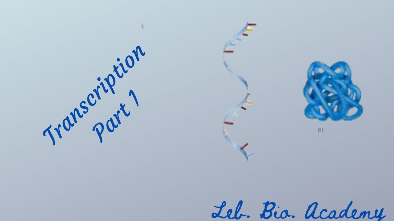 transcription part 1