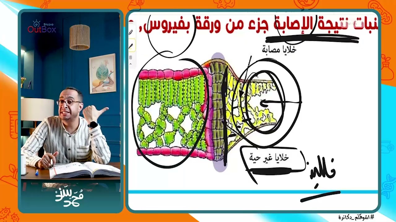 حل اسئلة مراجعة المناعة 