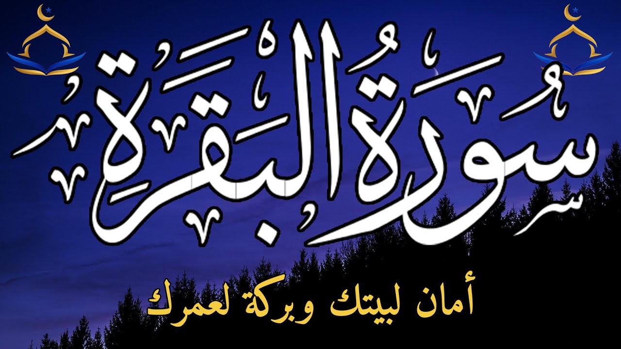 سورة البقرة صباحًا لجلب البركة والرزق وراحة القلب وبداية يوم مليء بالطمأنينة