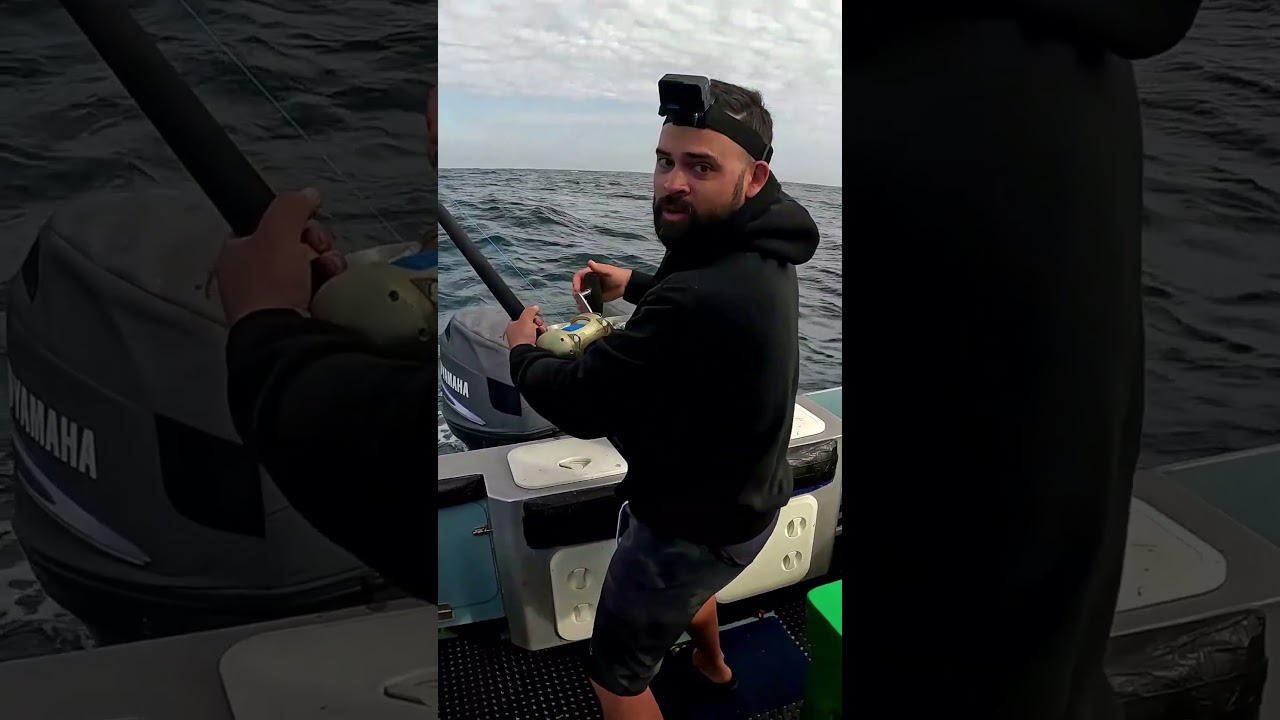 A GIANT mako shark TAKES our big BAIT! #makoshark #mako #offshorefishing #fishing #salmon #angler 🦈