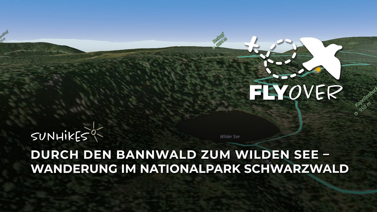 Durch den Bannwald zum Wilden See: Rundwanderung im Nationalpark Schwarzwald – Flyover
