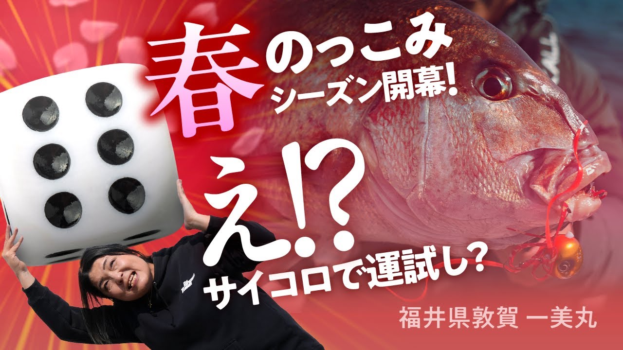 【タイラバ】福井県敦賀 のっこみ真鯛シーズン開幕！ サイコロで運試し⁉︎ /福井県敦賀 /  田中亜衣      #ビンビン玉 #ビンビンスイッチ #ビンソルチャンネル