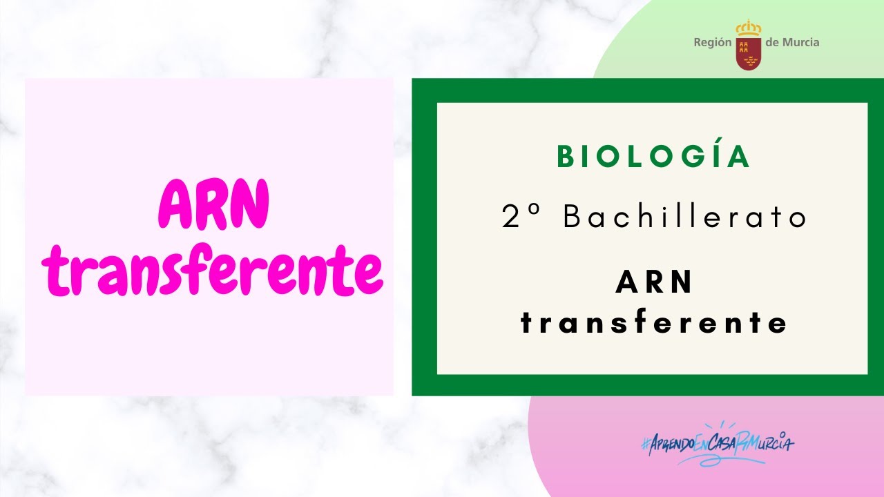 ARN TRANSFERENTE