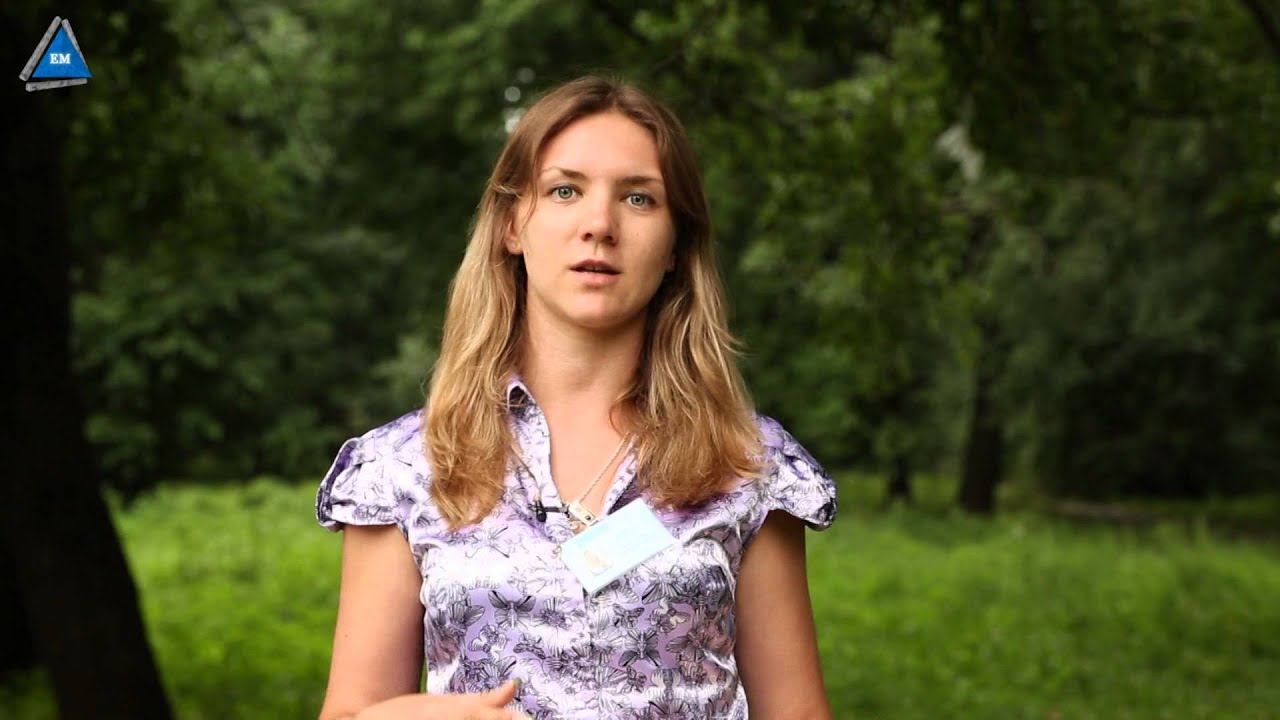 Pedrollo easy press  и Pedrollo EASY PRO отличия