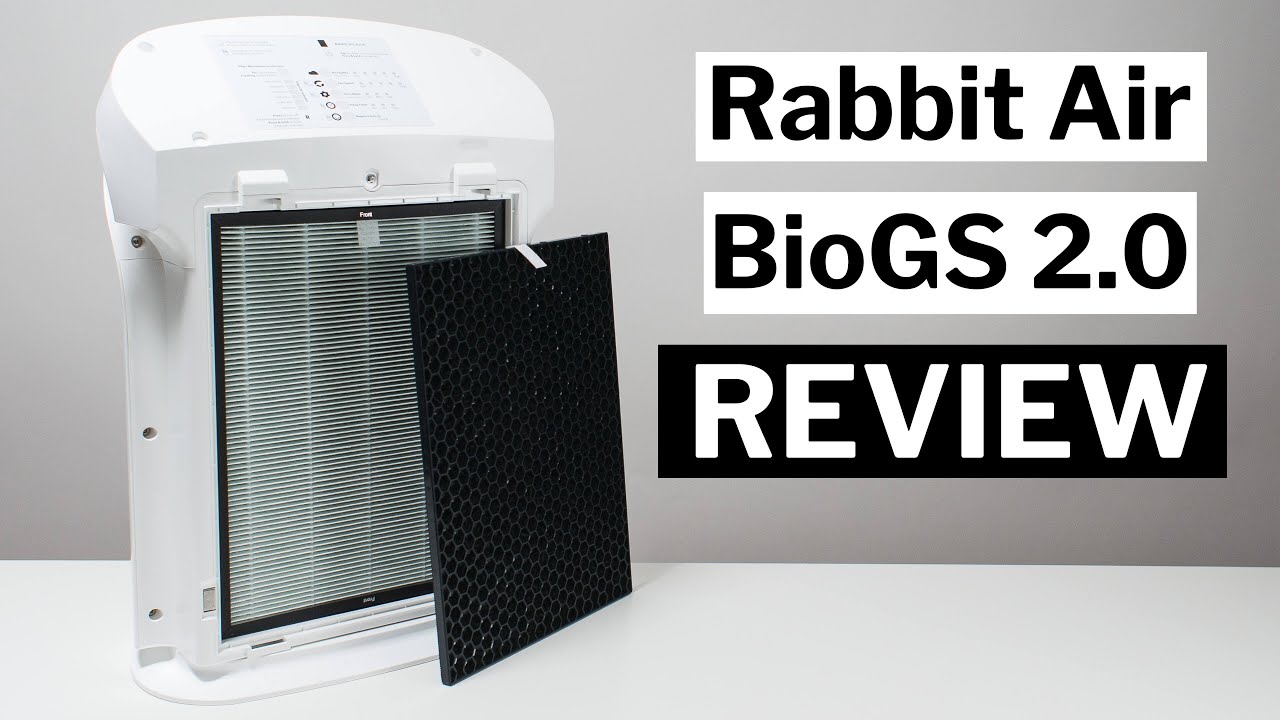 Обзор Rabbit Air BioGS 2.0