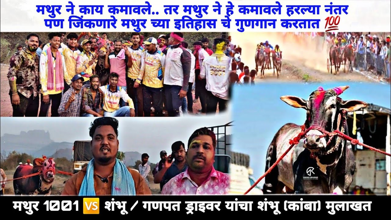 मथुर ने काय कमावले.. तर मथुर ने हे कमावले हरल्या नंतर पण जिंकणारे मथुर च्या इतिहास चे गुणगान करतात 💯
