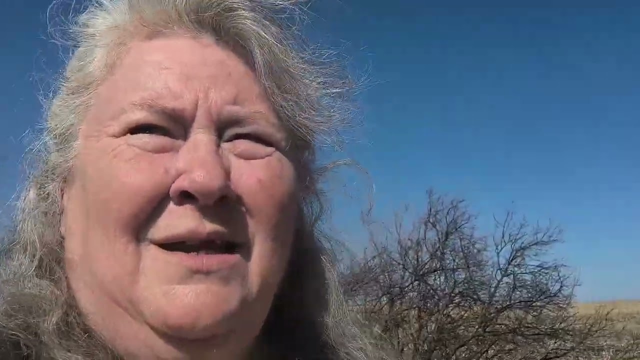 Пойдём прогуляемся.