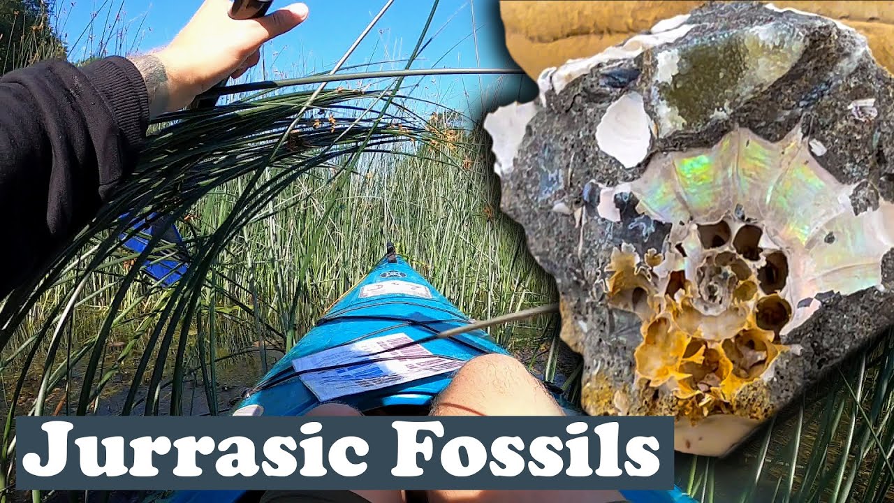 Intense fossil hunting mission with the canoes