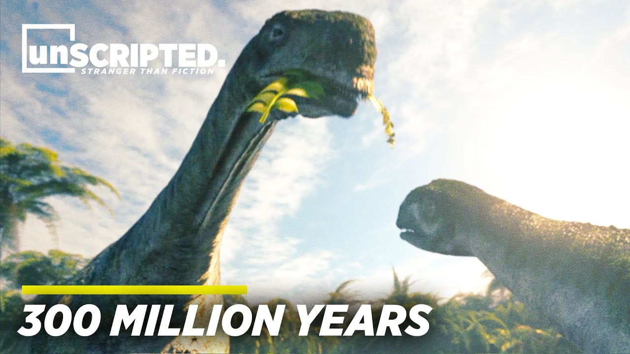 Where Our Life Began 300 Million Years Ago? | Exploring From Dinosaur To Human | 300 Million Years