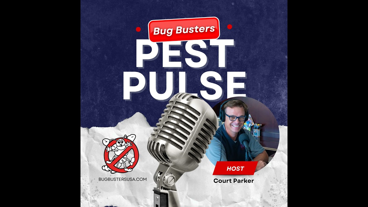 Understanding the Hidden Dangers of Cockroach Infestations