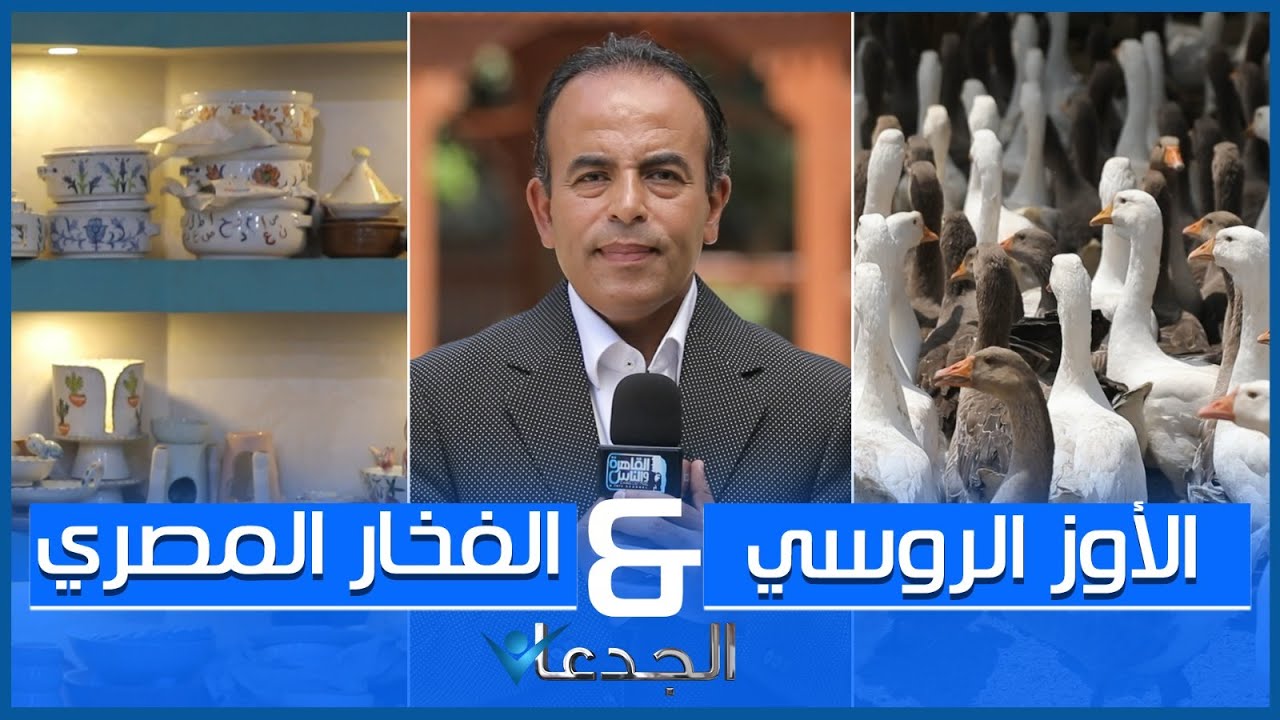 سبب تراجع مصر في تصدير الزيتون!وقصة نجاح 