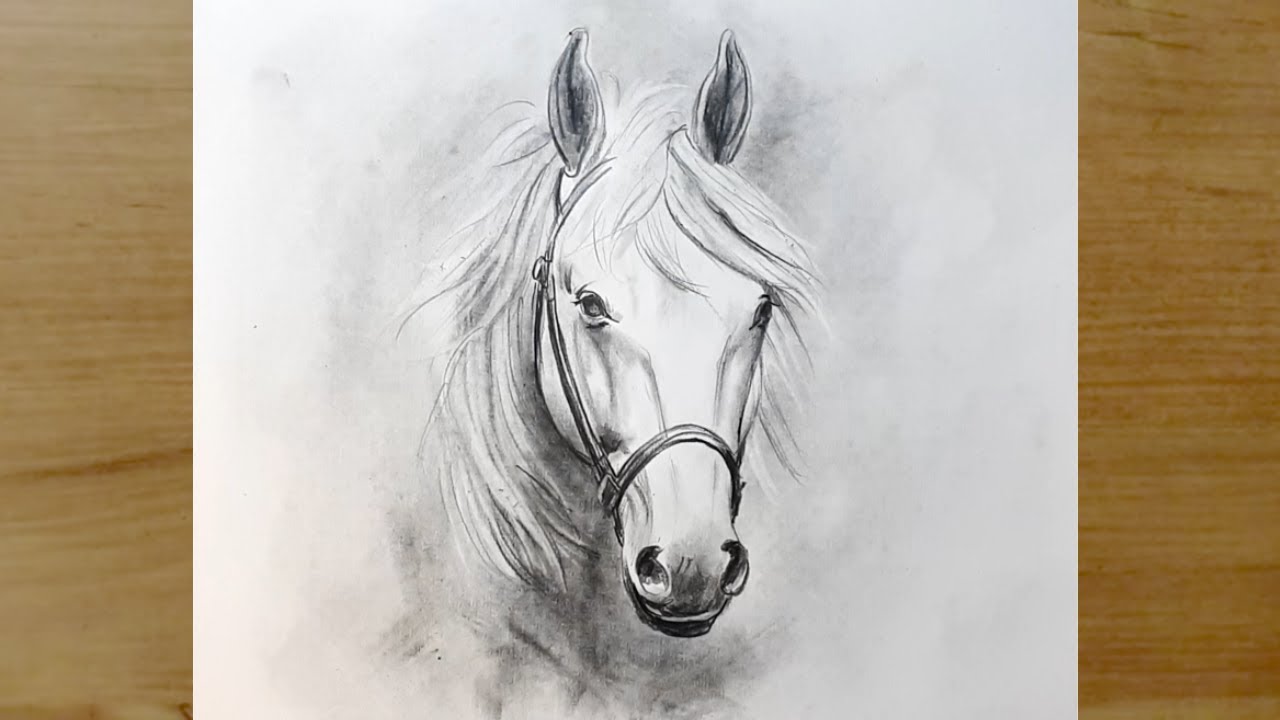 At Resmi Nasıl &Ccedil;izilir | Adım Adım At &Ccedil;izimi | Karakalem &Ccedil;izimleri | How To Draw Horse