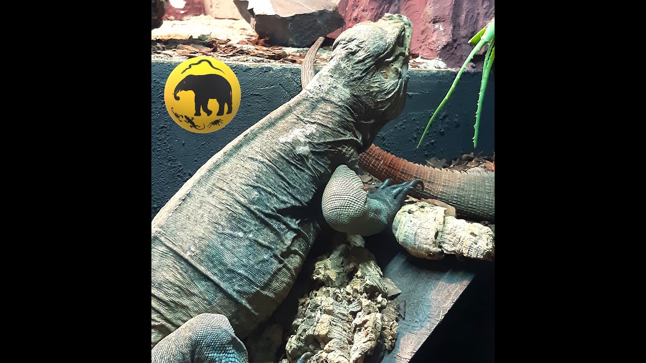 Nowe Egzotarium w Krakowie
