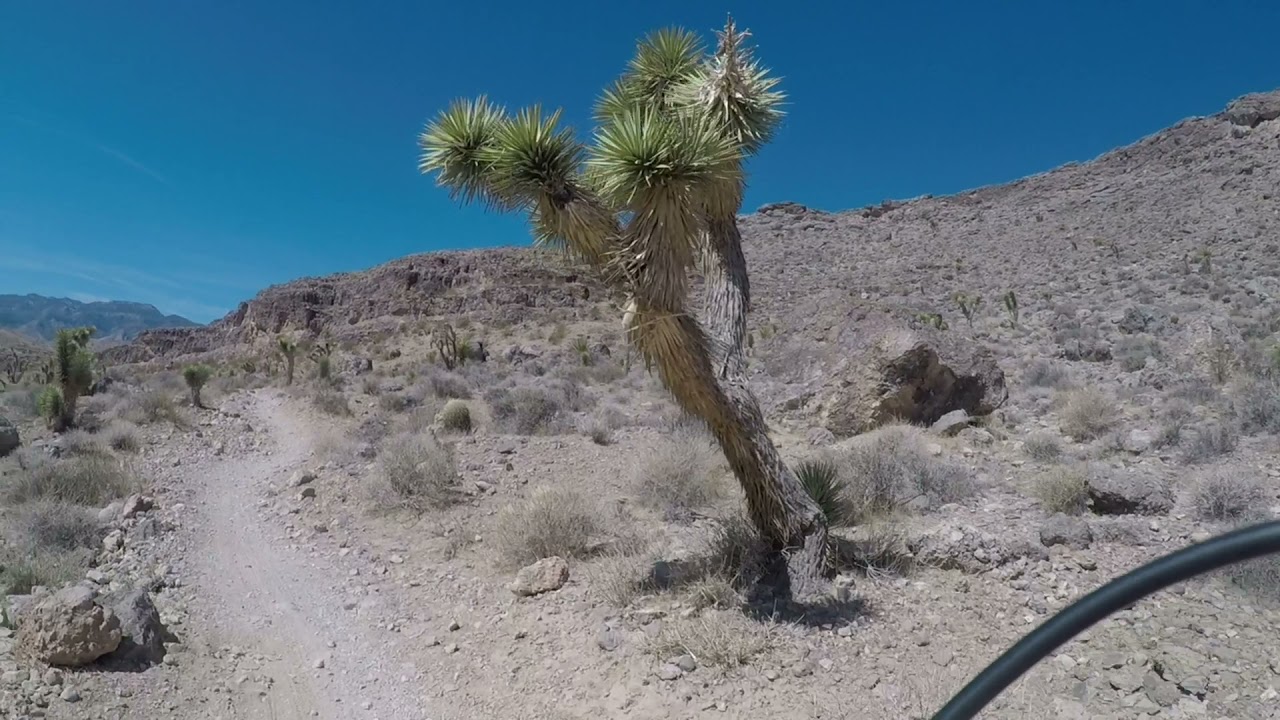 Mountain Biking Blue Diamond Trails in Nevada