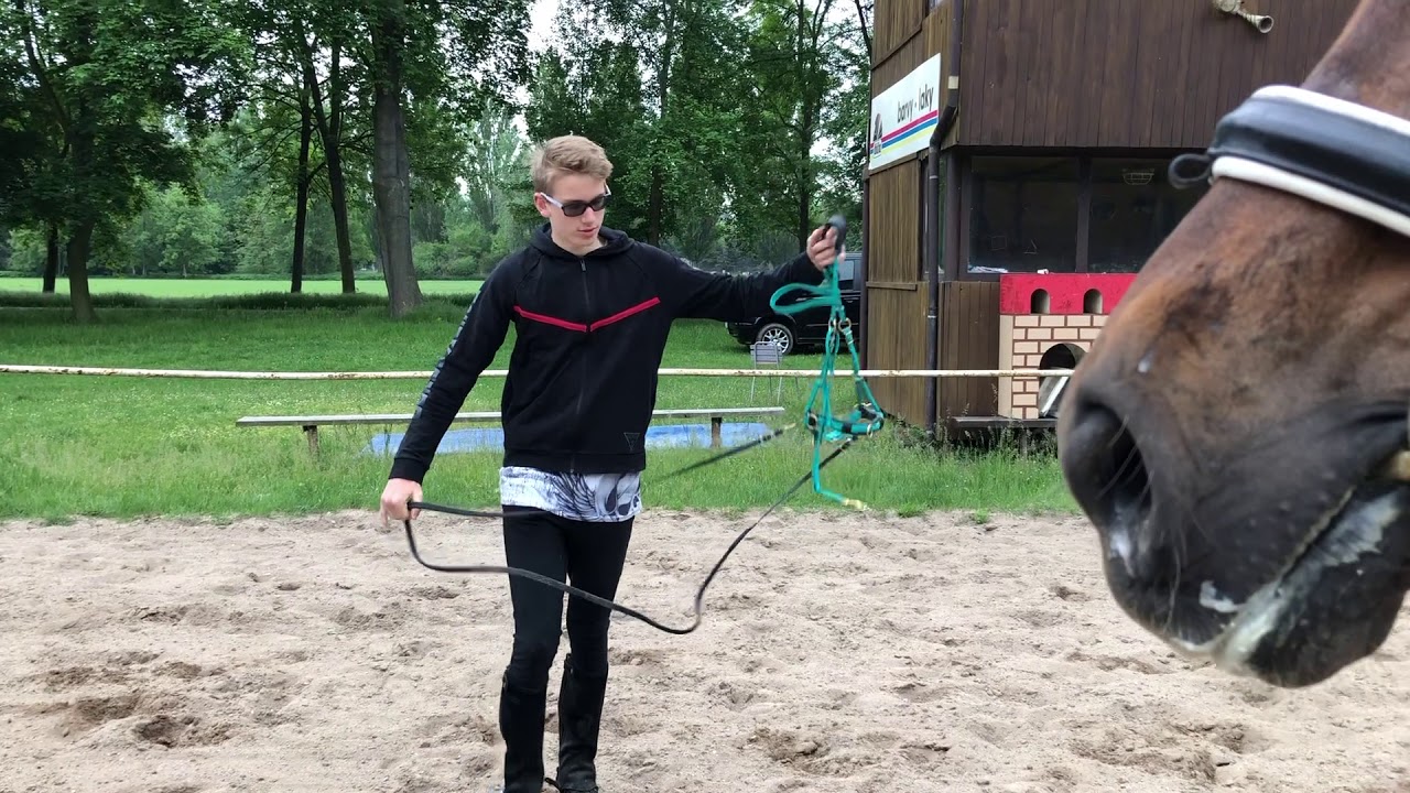 2#DVĚ SÉGRY A BRATR | Skoky v cizím prostředí bez udidla | Corrie neměla svůj den