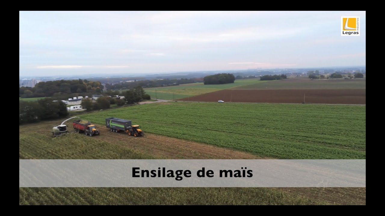 Des boudins en ensilage de mais - Legras Agricole