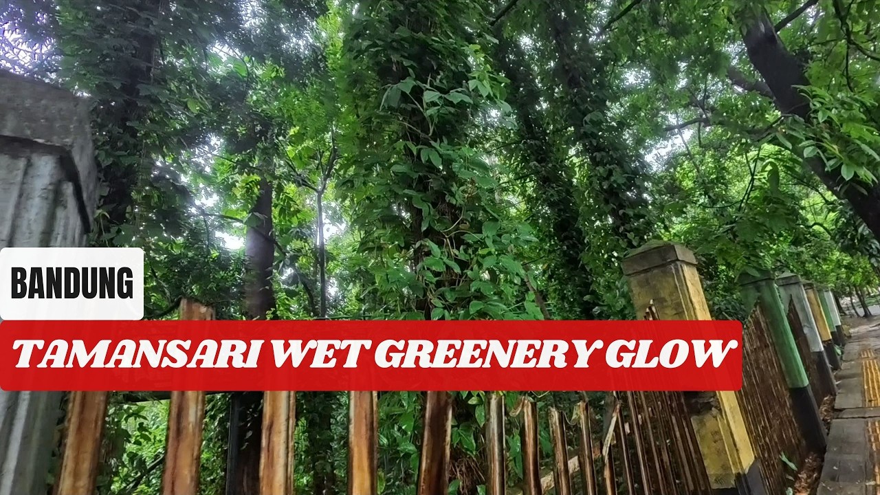 Bandung Indonesia, 4K Walking Tour: Tamansari Wet Greenery Glow