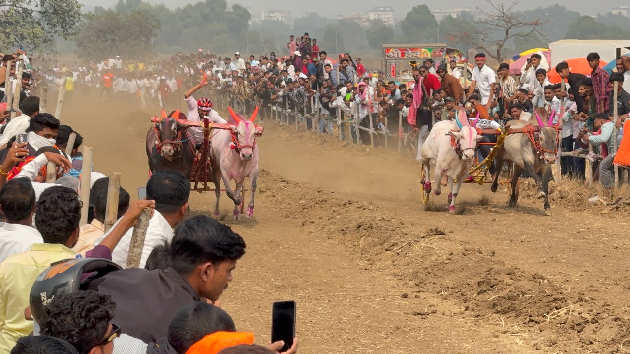 मथुर 🆚 अरिब्या शर्यत 