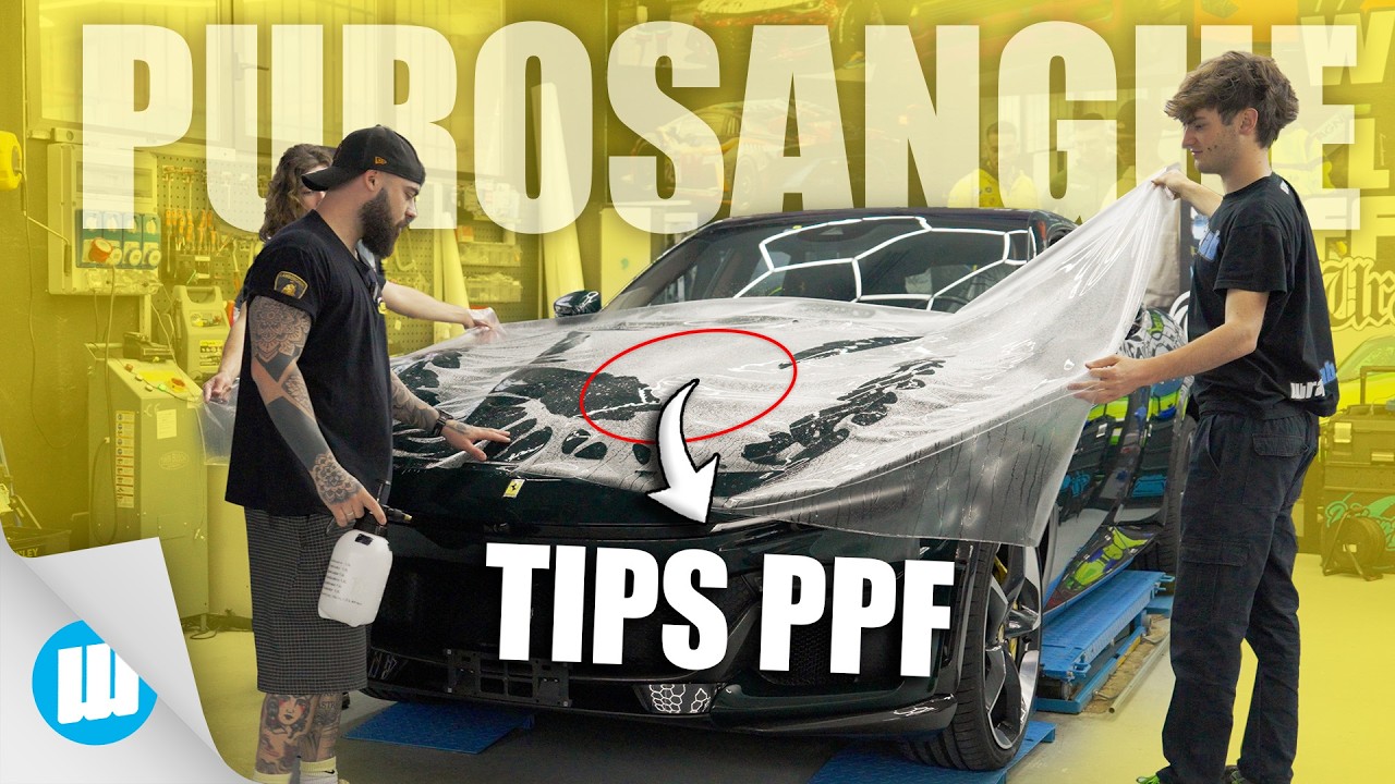 COME FARE IL PPF ALLA FERRARI PUROSANGUE🩸