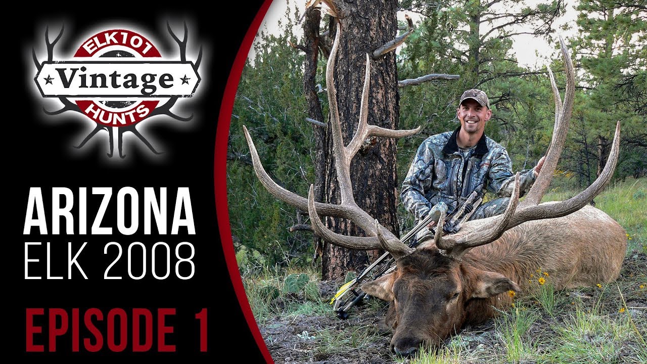 Watch Corey Jacobsen Shoot His Biggest Archery Bull - 390