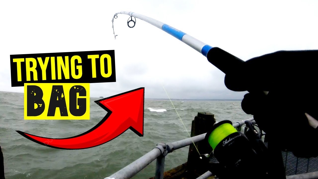 I FISHED PORTSMOUTH PIER - DAY 24
