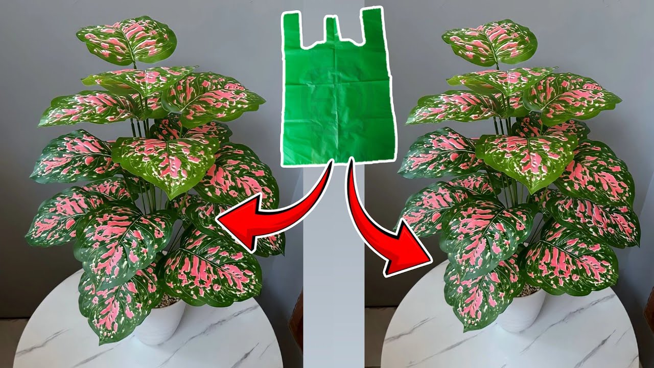 Как сделать растения Caladium Bicolor из полиэтиленового пакета | Цветочные поделки