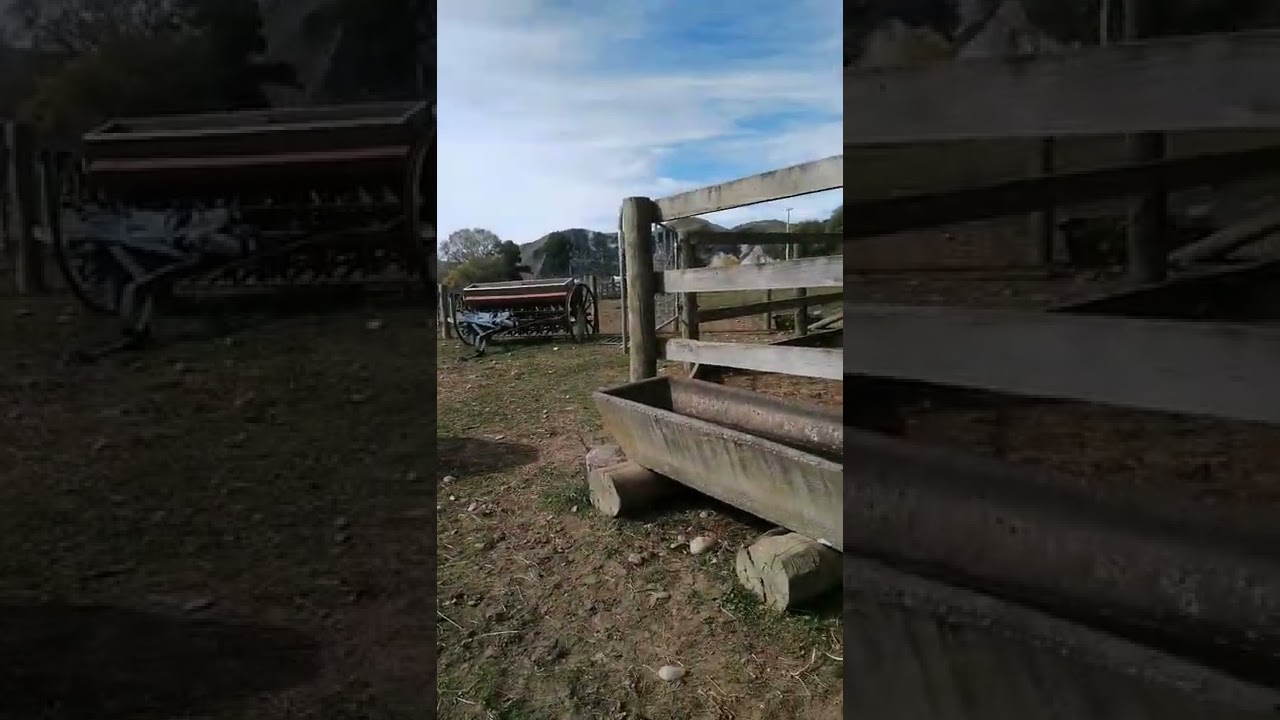 Riding Chilli!