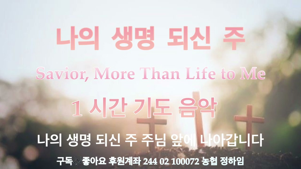 나의 생명 되신 주 [ Savior, More Than Life to Me ] 성령님의 임재 은혜로운 기도 음악 [1 시간 ]