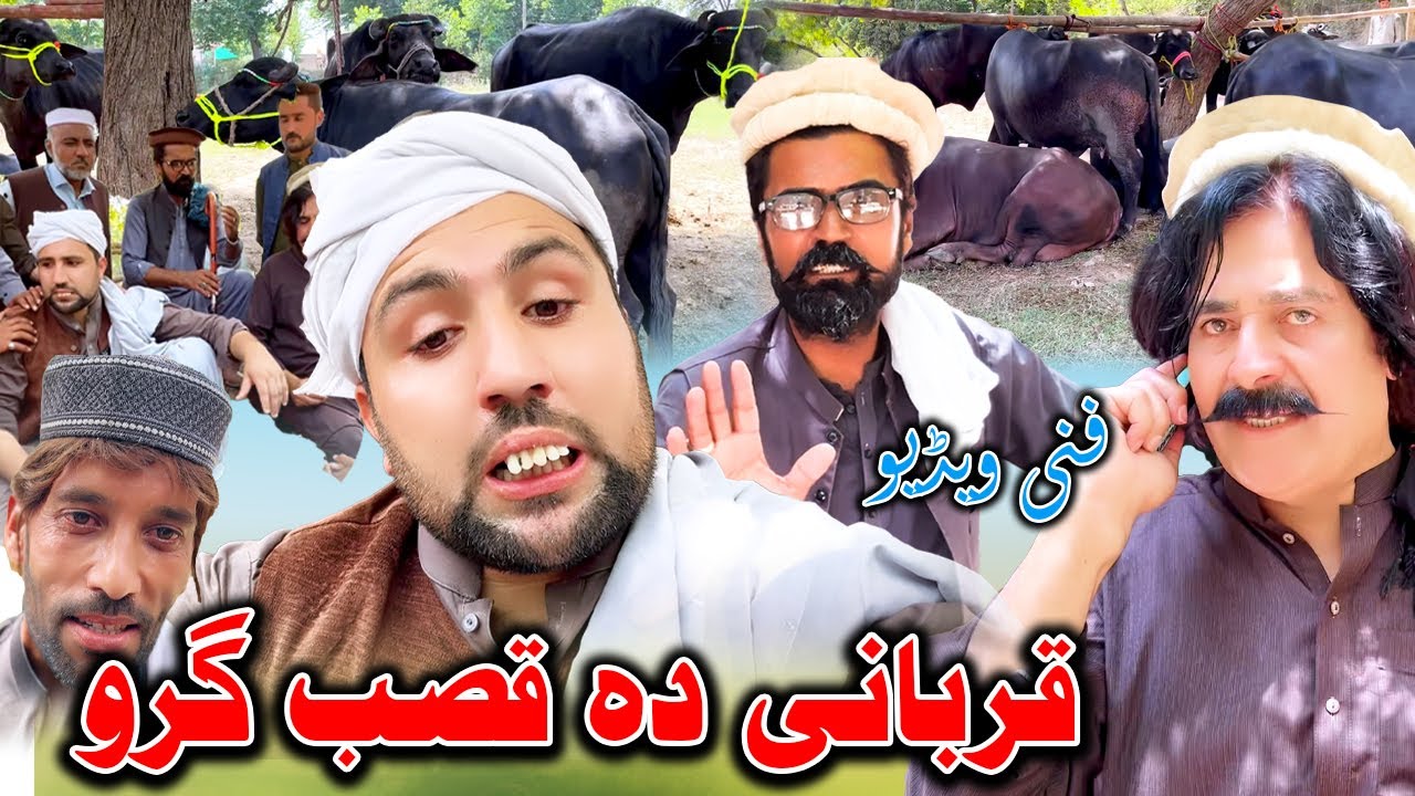 Qurbani Da Qasab Garo New Funny Video Daji Gul Vines
