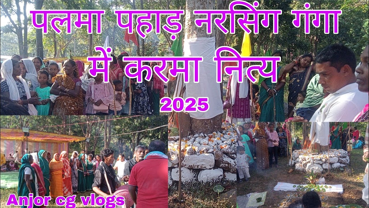  नरसिंग गंगा में पारंपरिक करमा नित्य धनवार समाज युवा संगठन 🙏🙏द्वितीय वर्ष 2025