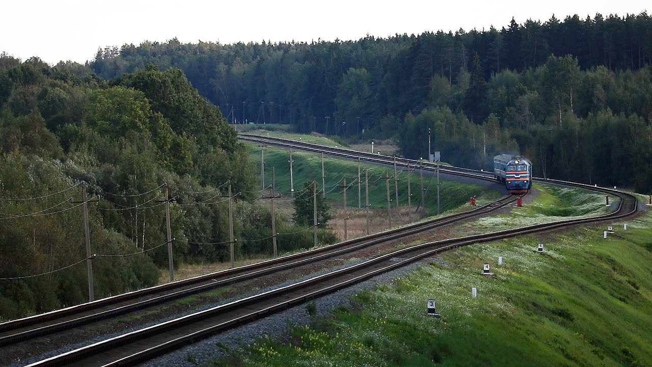 Тепловозы 2М62-0316, 2М62-0264 и 2М62-0315 на перегоне Могилёв-1/Лотва/Могилёв-1