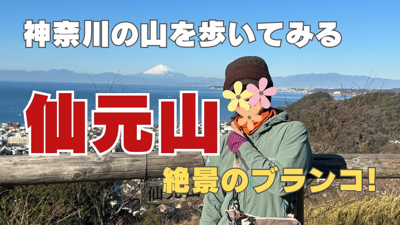 神奈川の山に登ってみる【仙元山】景色見ながらアルプスの少女ハイジ！なんて素敵な山なんでしょう！【初心者OK】