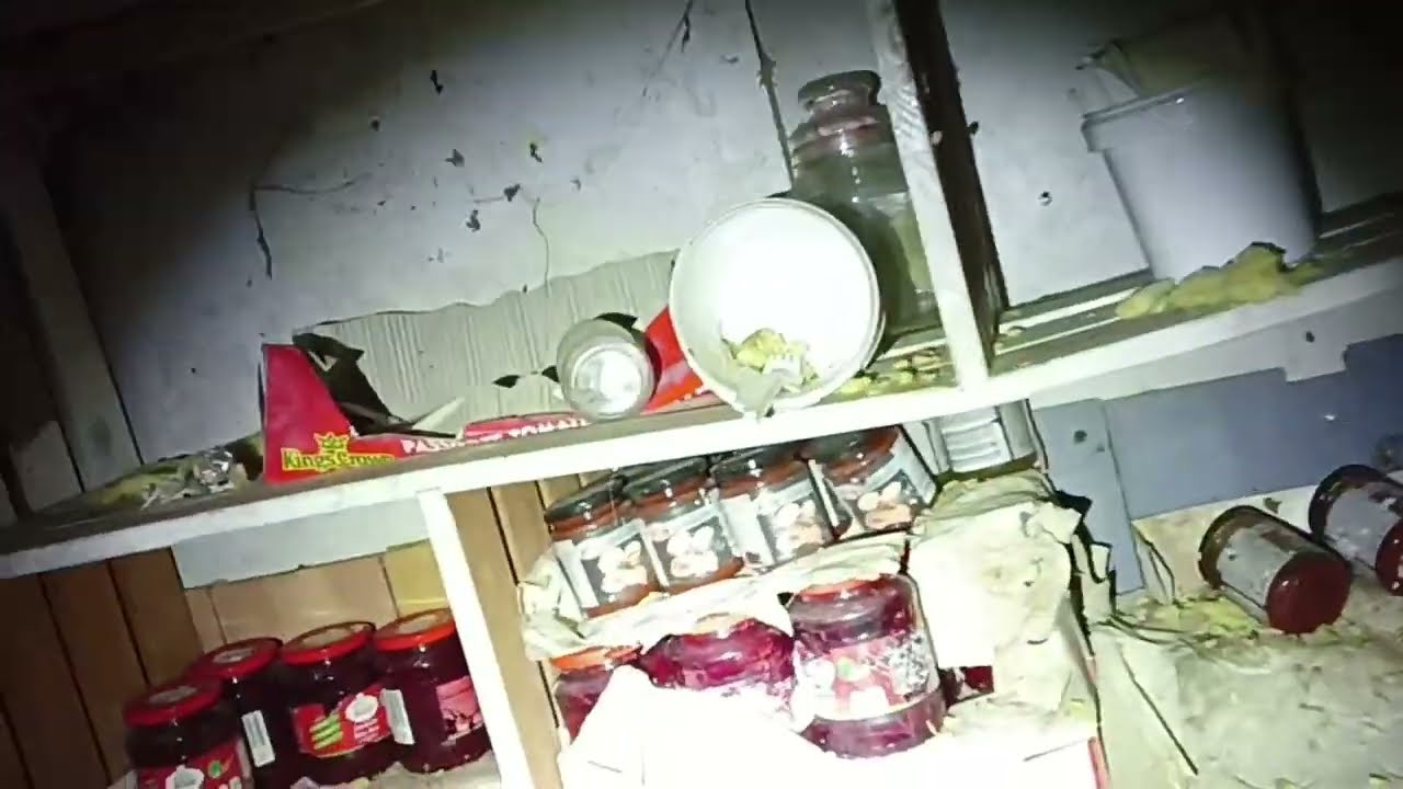 Lost Place - Das verlassene Ponyparadies am Wald mit Hütten voller Konserven und Baumaterial