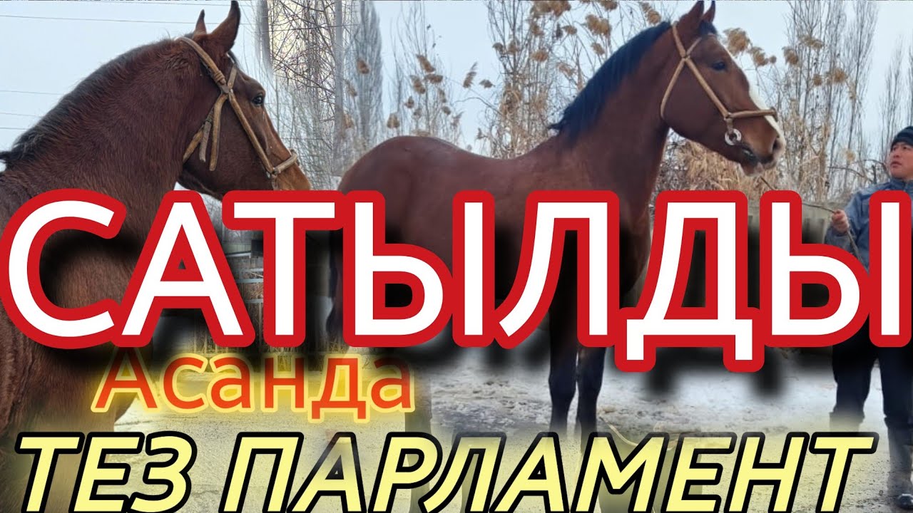 ПАРЛАМЕНТ