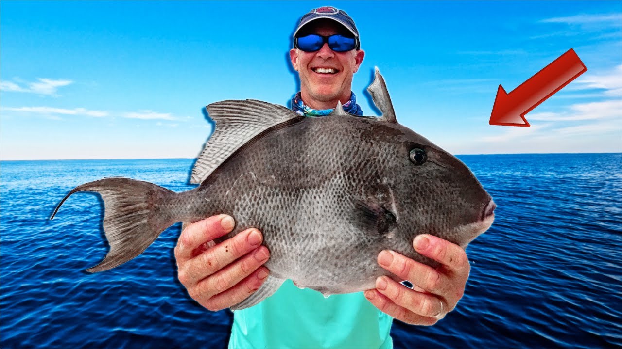 These TASTY Reef Fish Were On FIRE! One Of Those EPIC Days! [Catch, Clean, Cook]