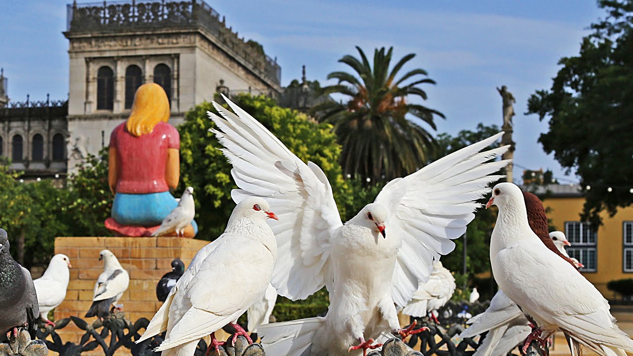 Glorieta de las Palomas - Parque de María Luisa Sevilla