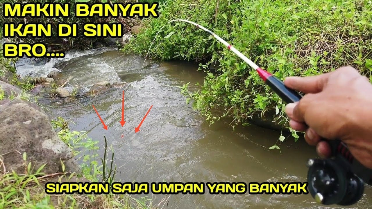 Mancing di Selokan Yang Selalu Banyak ikanya #LM33