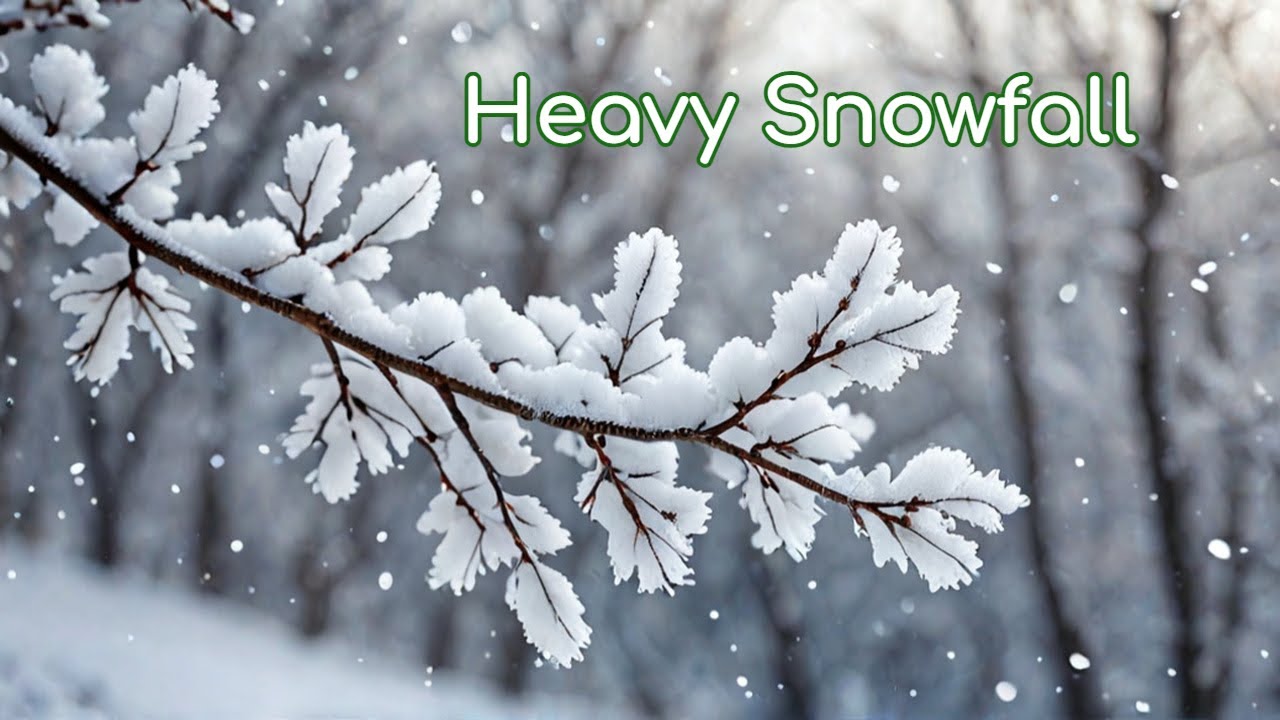 2 Minutes of Peaceful Heavy Snowfall | Winter Serenity, Live Snowfall | with natural sound #snow