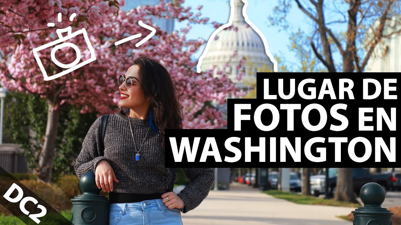 EL MEJOR LUGAR DE FOTOS EN D.C. | Flor Tedesco