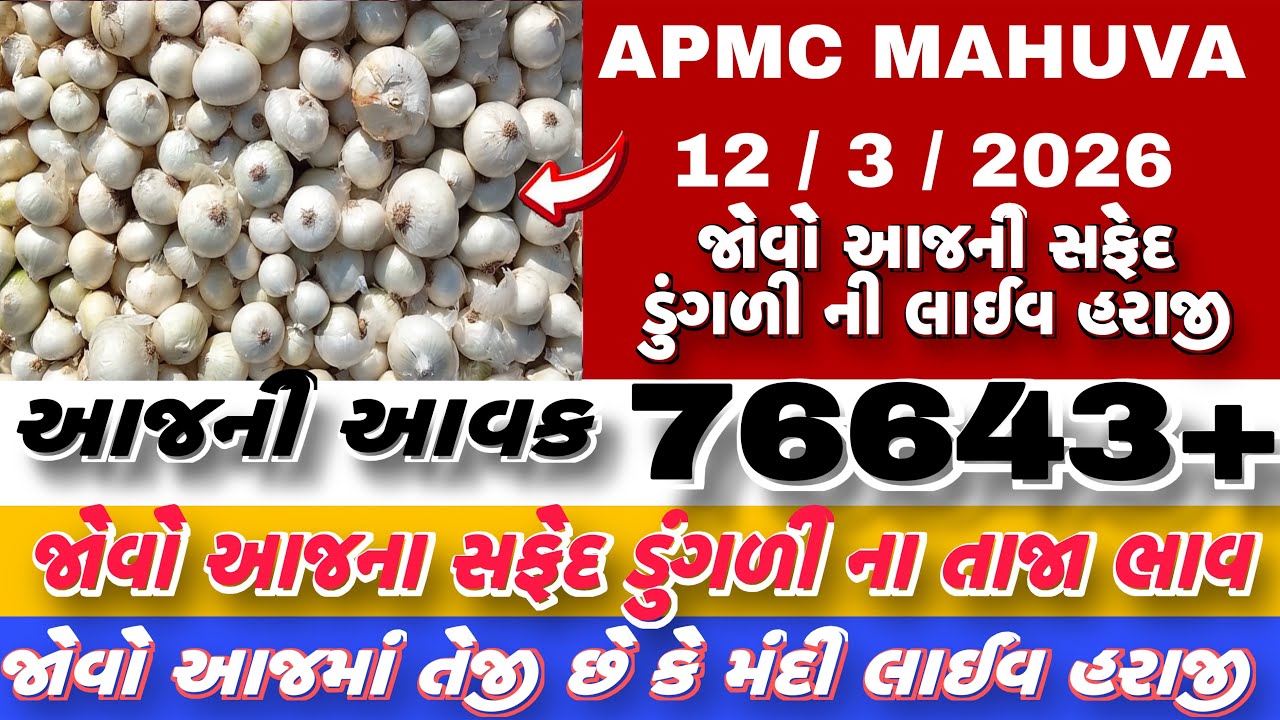 જોવો આજની સફેદ ડુંગળી ની લાઈવ હરાજી | APMC MAHUVA | આજની આવક 76643+ થેલા આખી |