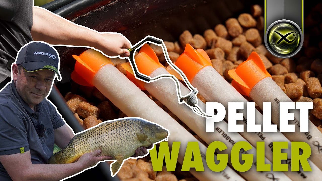 Angeln mit dem PELLET WAGGLER - Alles was ihr wissen müsst