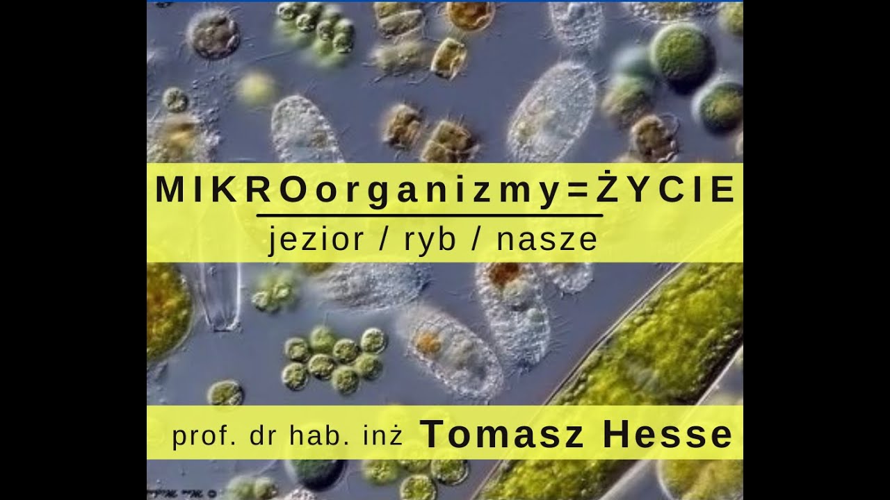 MIKROorganizmy = ŻYCIE.  Jezior, ryb, nasze  Ratuj Ryby Tomasz Hesse