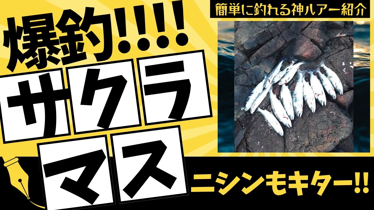 【北海道】【釣り】爆釣サクラマス！ニシンもキター！！簡単に釣れる神ルアー紹介＃サクラマス＃ニシン＃ルアーフィッシング