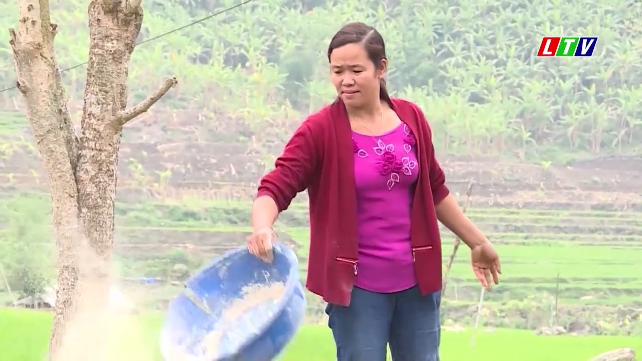 LAI CH&Acirc;U - PHONG THỔ QUYẾT T&Acirc;M THO&Aacute;T KHỎI HUYỆN NGH&Egrave;O
