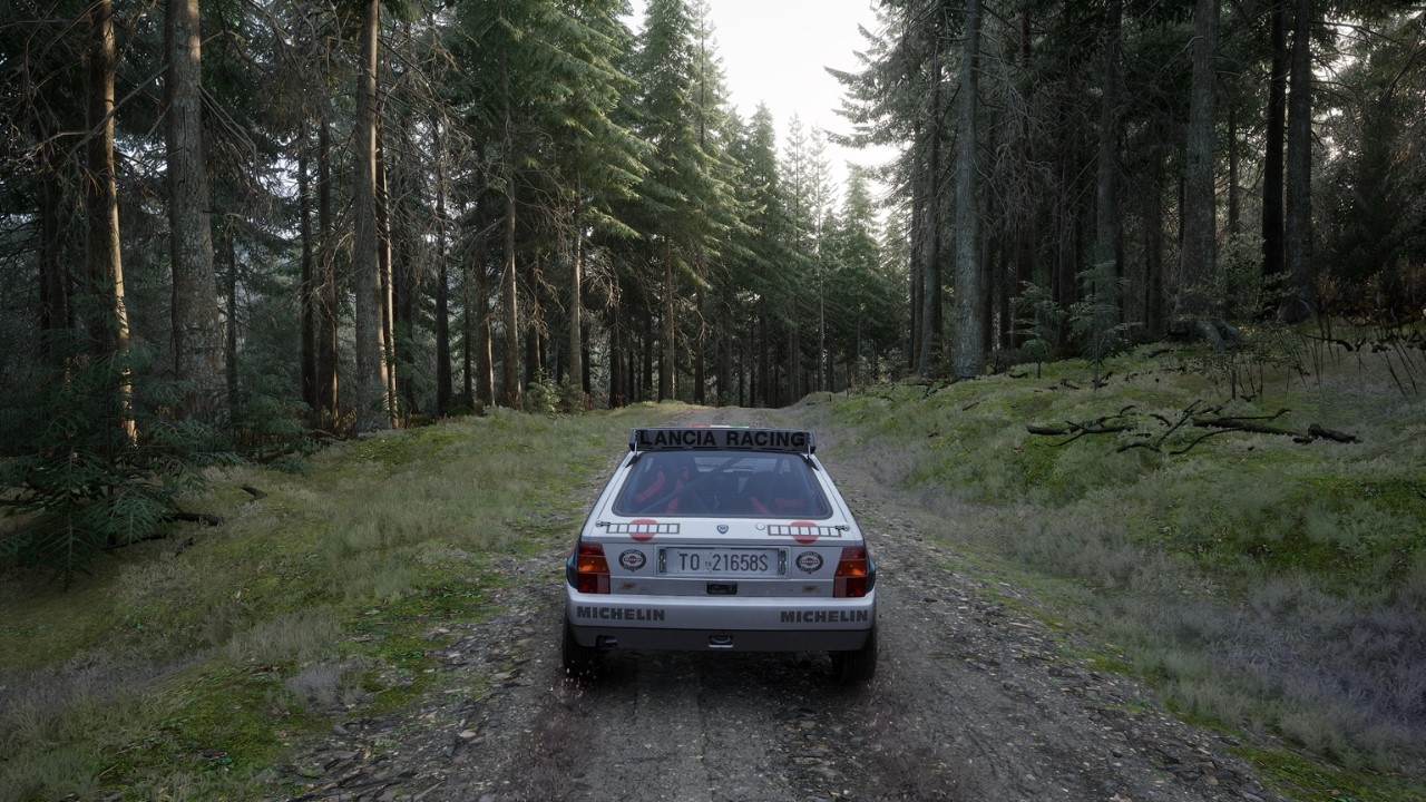 Assetto Corsa Rally / Lancia Delta Integrale Evoluzione - 1992
