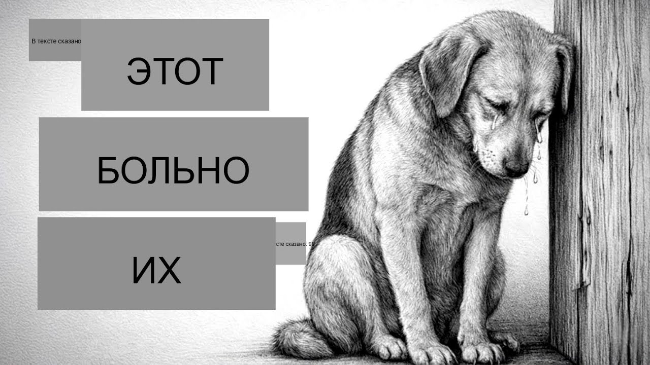 ПСИХОЛОГИЯ СОБАК: ПОВСЕДНЕВНЫЕ ВЕЩИ, КОТОРЫЕ МОГУТ РАНИТЬ ЧУВСТВА ВАШЕЙ СОБАКИ
