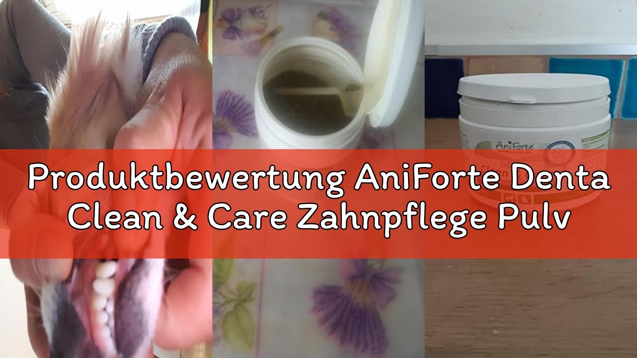 Produktbewertung AniForte Denta Clean & Care Zahnpflege Pulver für Hunde & Katzen 300g – effektive &