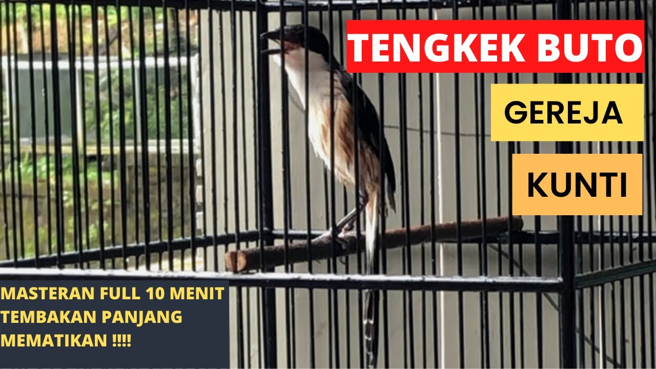 MASTERAN CENDET